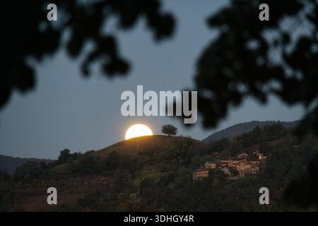 Ein poetischer Abendblick auf einen Vollmond, der hinter einem Hügel mit einem einsamen Baum in Neviano degli Arduini aufsteigt. Stockfoto