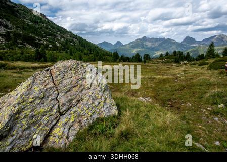 Kleiner Alpenbach in den Lagorai-Bergen im Trentino, Italien, der zwischen Felsen und Grasland unter zerklüfteten Gipfeln fließt. Stockfoto