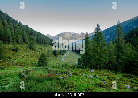 Alpental in den Lagorai-Bergen im Trentino, Italien, mit einem sich windenden Bach, grünen Wäldern und sonnendurchfluteten Gipfeln unter klarem Himmel. Stockfoto