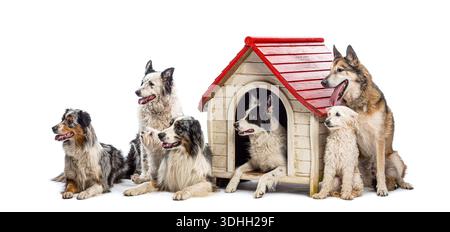Gruppe glücklicher Hunde und Welpen, die in der Nähe eines hölzernen Hundehauses auf weißem Hintergrund sitzen und liegen Stockfoto
