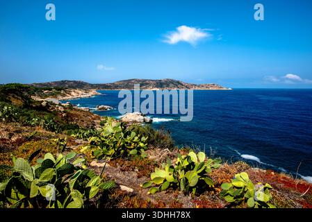 Felsige Mittelmeerküste mit Küstendorf und türkisfarbenem Wasser in Korsika, Frankreich. Küstensiedlung, zerklüftete Küste und helle Sommeratmosphäre Stockfoto