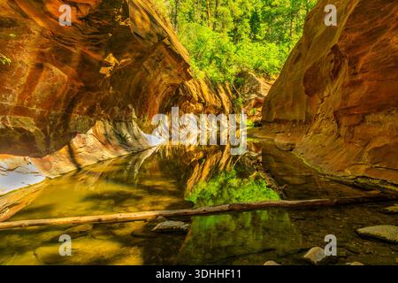Sedona und Oak Creek Canyon, Arizona, USA Stockfoto
