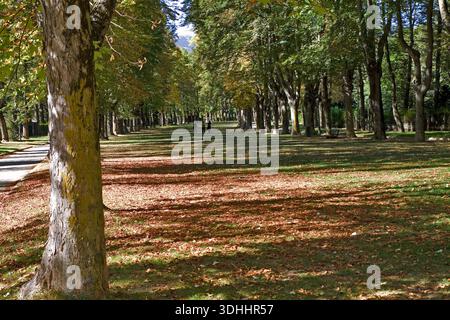 Das Ganze Camprodon Village Stockfoto