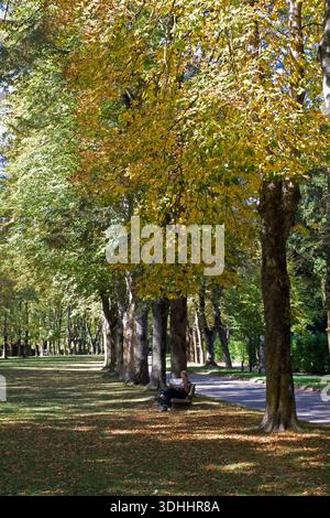 Das Ganze Camprodon Village Stockfoto