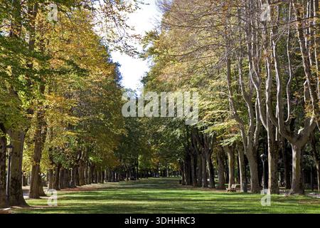 Das Ganze Camprodon Village Stockfoto