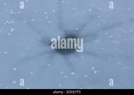 Muster auf einem gefrorenen See mit wunderschönen Schneeflocken oben Stockfoto