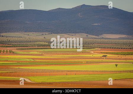 Weitläufige ländliche Landschaft mit Flickenteppichfeldern in Grün und Braun, sanften Hügeln in der Ferne, Toledo, Spanien Stockfoto