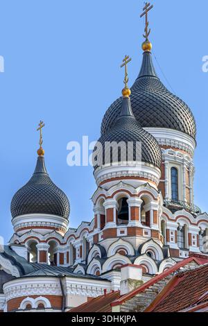 Zwiebelkuppeln der Russisch-orthodoxen Alexander-Newski-Kathedrale, Ostorthodoxe Kirche in der Hauptstadt Tallinn, Grafschaft Harju, Estland Stockfoto
