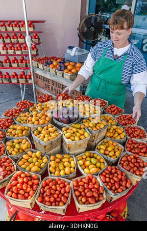 Florida Turnpike Fort Drum Rest Stop, lokale Produkte Display Verkauf kleine Kirschtomaten Körbe, Frau weiblich Verkauf, Stockfoto