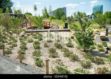 Japanischer Garten in Vilnius (neuer junger Garten). Mit Teich und kleinen Rhododendronblüten, roter Fußgängerbrücke und Irisblüten an der Küste Stockfoto