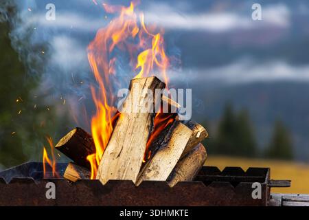Brennholz in einem Berggrill im Freien. Nahaufnahme von Brennholz, das in einem Metallgrill brennt, mit hellen Flammen und Rauch, gegen eine Unschärfe gesetzt Stockfoto