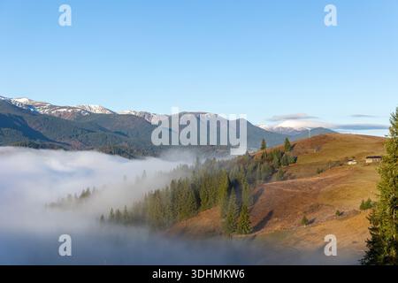 Nebel, der bei Sonnenaufgang durch das Piniental rollt. Morgennebel bedeckt ein mit Kiefern bedecktes Tal unter schneebedeckten Bergen und goldenen Hügeln, die von sanften Lichtern beleuchtet werden Stockfoto