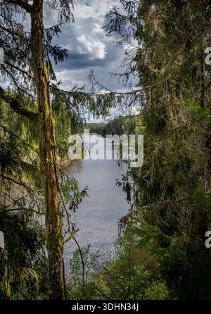 Der Fluss Gauja schlängelt sich durch die Waldlandschaft Stockfoto