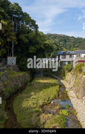 Arita, Japan - 9. November 2024: Das Bild zeigt einen kleinen Fluss mit Steinböcken, bewachsener Vegetation, einen im Wasser stehenden Vogel und Wohnhäuser am Flussufer mit bewaldeten Hügeln im Hintergrund unter teilweise bewölktem Himmel. Stockfoto