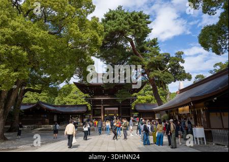 Tokio, Japan - 21. Oktober 2024: Das Bild zeigt Menschen, die im Innenhof des Meiji Jingu-Schreins spazieren gehen und sich versammeln, mit großen Bäumen, traditionellen hölzernen Schreckengebäuden und einem teilweise bewölkten Himmel. Stockfoto