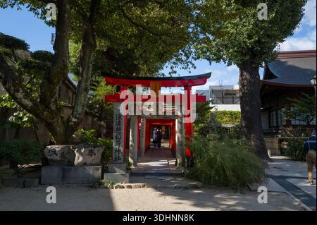 Fukuoka, Japan - 6. November 2024: Das Bild zeigt eine Reihe roter Torii-Tore, die einen Pfad am Kushida-Schrein bilden, mit Steinsäulen mit japanischen Inschriften, Bäumen, Grün und einem Teil eines Schrein-Gebäudes, das unter blauem Himmel sichtbar ist. Stockfoto