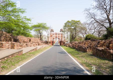 Fatehpur Sikri, Indien - 12. März 2024: Das Bild zeigt eine asphaltierte Straße, flankiert von alten Steinmauern und Ruinen, die zu einem Tor aus rotem Sandstein mit Kuppelpavillons führt, umgeben von Bäumen bei Fatehpur Sikri. Stockfoto