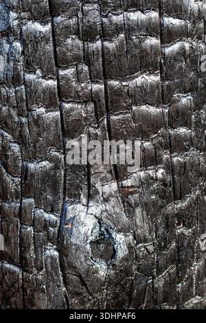 Verbrannte Holzoberfläche mit gerissenen Holzkohlemustern und Brandschäden Stockfoto