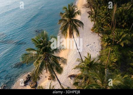 Erleben Sie den ruhigen Charme des Takhian Beach in Koh Kood, Thailand, wo goldener Sand auf üppige Palmen unter einem hellblauen Himmel trifft, was ihn zu einer Idee macht Stockfoto