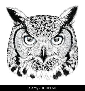 Detaillierte Majestätische Eulenkopf Zeichnung Weißer Hintergrund Stock Vektor