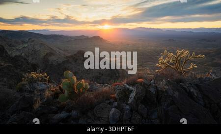 Der Blick auf einen goldenen Sonnenaufgang zeigt die zerklüftete Wüstenlandschaft mit Kakteen, die sich vor dem Horizont befinden und lange Schatten werfen, Nipton, Kalifornien, Unit Stockfoto