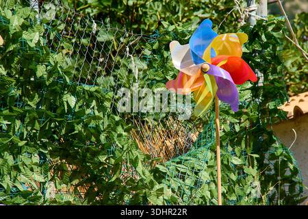 Farbenfrohes, farbenfrohes Kleinrad-Spielzeug, das das Licht in einem üppigen Garten einfängt und Kinderfreude, Sommerspaß und umweltfreundliche Energiekonzepte symbolisiert. Stockfoto