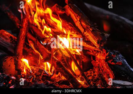 Nahaufnahme des brennenden Lagerfeuers mit nach oben aufsteigenden heißen Flammen, schwelender Glut und strukturierten Holzstämmen, die von warmem Licht beleuchtet werden. Gemütliches Capturin Stockfoto