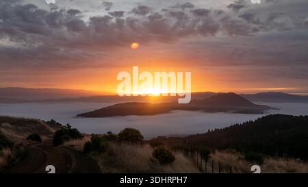 Blick auf die Sonne, die durch den Morgennebel brennt und einen warmen Glanz über die zerklüfteten Hügel wirft, mit goldenen Gräsern im Vordergrund, Salmon Creek, Cali Stockfoto