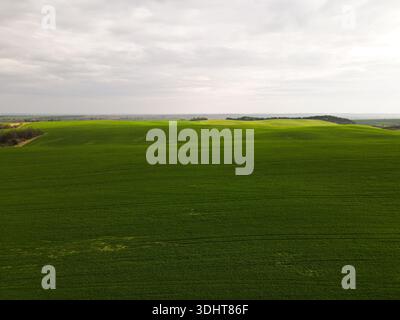 Luftaufnahme von sanften grünen landwirtschaftlichen Feldern unter bewölktem Himmel, ländlichen Agrarlandschaften und nachhaltiger Landwirtschaft Stockfoto