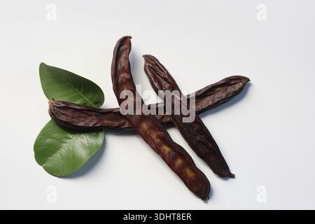 Isolierte Johannisbrot (Johannisbrot) auf weißem Hintergrund Stockfoto