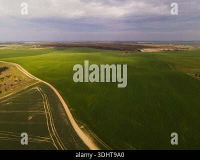 Aus der Vogelperspektive sehen Sie riesige grüne landwirtschaftliche Felder mit ländlicher Feldstraße, sanfte Ackerlandschaften unter dramatischem bewölktem Himmel Stockfoto
