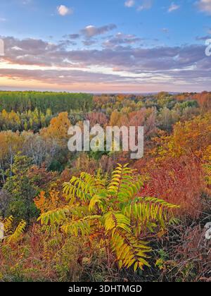 Atemberaubende herbstliche aussicht von einem Hügel mit Blick auf das bunte Walddach, das sich im weichen Sonnenuntergang sonnt. Lebendige Bäume bilden ein Mosaik aus f Stockfoto