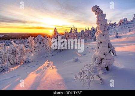 Blick auf eine schneebedeckte Landschaft, die in Goldtönen gemalt ist und von der untergehenden Sonne rosa ist, mit stark verschneiten Bäumen, die eine magische Winterszene schaffen Stockfoto