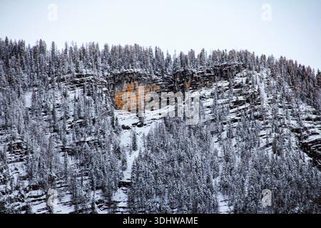Winterlandschaft mit schneebedeckten Berghängen mit einer markanten orangen Felsklippe, umgeben von mattierten Nadelbäumen. Stockfoto