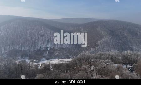 Blick aus der Vogelperspektive auf die Waldlandschaft, im Winter mit gefrorenen weißen Bäumen Stockfoto