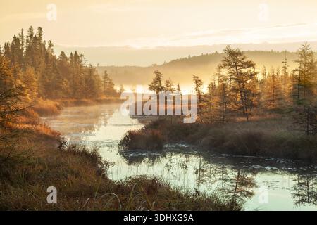 Kleiner Bach im Norden von Minnesota während eines nebeligen Herbstsonnenaufgangs Stockfoto