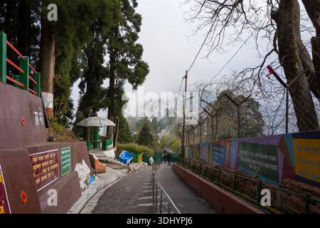 Darjeeling, Indien - 26. März 2024: Ein gepflasterter Weg, der mit bemalten Stützmauern, grünen Geländern und Drahtzäunen gesäumt ist, führt in der Nähe des Mahakal-Tempels bergab, wo Bäume und entfernte Gebäude durch den Nebel sichtbar sind. Stockfoto