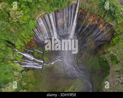 Blick von oben auf den Tumpak Sewu Wasserfall, umgeben von üppigem tropischem Wald, Indonesien Stockfoto
