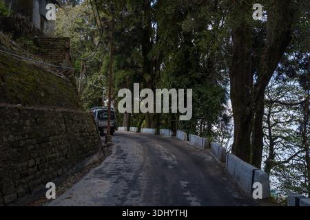 Darjeeling, Indien - 26. März 2024: Eine enge asphaltierte Straße kurvt entlang einer moosbedeckten Steinmauer mit einem geparkten Fahrzeug, hohen Bäumen und Versorgungsdrähten, die in einem hügeligen Gebiet sichtbar sind. Stockfoto