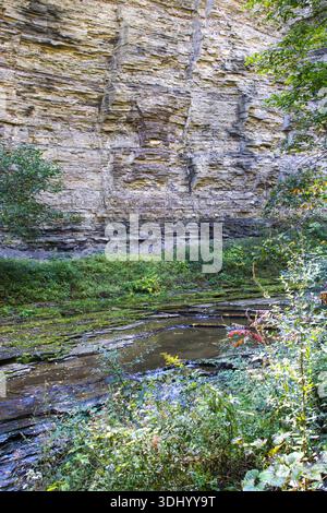 Flacher Canyon, der über flache Felsschichten fließt, umgeben von dichter Vegetation. Stockfoto