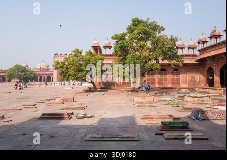 Fatehpur Sikri, Indien - 12. März 2024: Das Bild zeigt den Friedhofsbereich im Innenhof der Jama-Masjid-Moschee mit mehreren Gräbern, zwei großen Bäumen, Gebetsteppichen und sitzenden und gehenden Menschen, mit der Arkadenfassade aus rotem Sandstein und der gewölbten Chhatris, die im Hintergrund sichtbar sind. Stockfoto