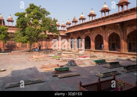 Fatehpur Sikri, Indien - 12. März 2024: Das Bild zeigt den Friedhofshof der Jama Masjid Moschee mit mehreren Gräbern, Gebetsteppichen, die einige Gräber bedecken, zwei große Bäume und die rote Sandsteinfassade mit gewölbtem Chhatris, da mehrere Personen in der Nähe der Bögen und Gräber zu sehen sind. Stockfoto