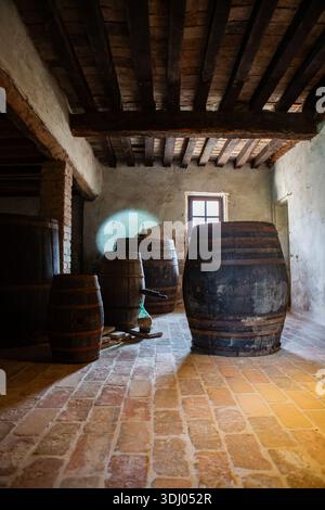 Die Innenausstattung des alten Weinkellers zeigt Eichenfässer, Ziegelboden, abgenutzten Putz und Holzbalken, die authentische ländliche Lageratmosphäre schaffen Stockfoto