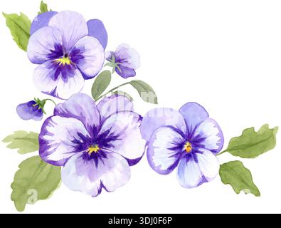 Violette Stiefmütterchenblumen, Blumenrand, handgemalte botanische Gestaltung in Aquarellen Stockfoto