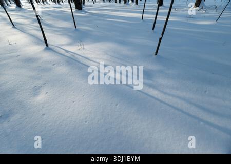 Lange blaue Schatten, die sich über glitzernden Schnee erstrecken, scharfes Sonnenlicht, das dramatische Linien bildet, und subtile Kristallreflexionen in ruhiger Winterstimmung Stockfoto