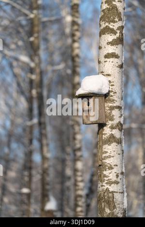Schneebedecktes hölzernes Vogelhaus auf Birke, verwitterte Holzstruktur, weicher Bokeh-Hintergrund mit schlanken Stämmen, nostalgisches Landschaftsgefühl, Lebensraum für Tiere Stockfoto