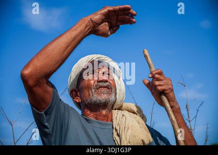 Älterer Mann Mit Turban Hält Personal Draußen Unter Klarem Blauen Himmel Mit Verwittertem Ausdruck Stockfoto