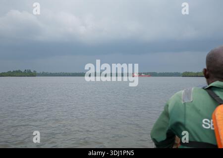 Ein Mann navigiert durch einen schmalen Mangrovenbach im Nigerdelta, umgeben von dichtem tropischen Mangrovenwald und ruhigem Gezeitenwasser. Stockfoto