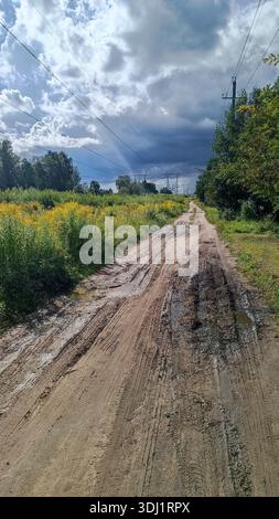 Eine kurvige Feldstraße führt durch üppige grüne Felder und führt hinauf zu einem ruhigen, mit Kiefern bedeckten Hügel unter einem blauen, bewölkten Himmel. Stockfoto