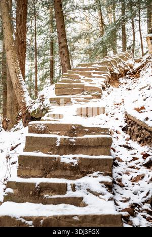 Dies ist ein Blick auf eine schneebedeckte Treppe auf einem Pfad zwischen den Pines an den Cantwell Cliffs im Hocking Hills State Park, Ohio. Stockfoto